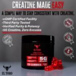 Creatine Gummies - 5g per serving