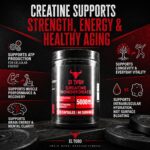 Creatine capsules - 5g per serving - Image 5
