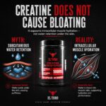 Creatine capsules - 5g per serving - Image 4